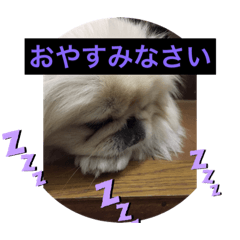moko_20190512170448mokomoko