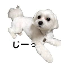 yuina_20190531131634