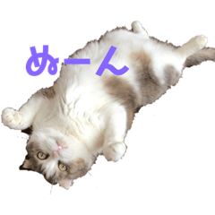 mako_20190531132053