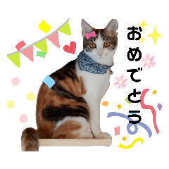 Heart cat Fuku Family2