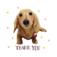 ayumi_20190528131933