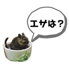 kazumi_20190601153100