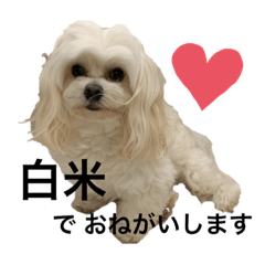 kayo_20190601112633