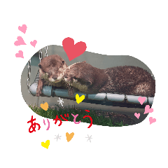 カワウソとなかまたち