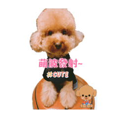 李萌Q-