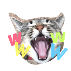 saya_ve-chan