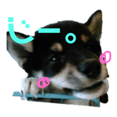 no_201905281245200