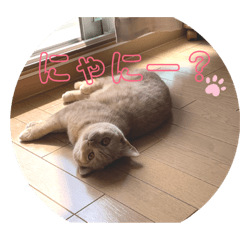 Haruna_20190531221751