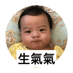 水餃包2