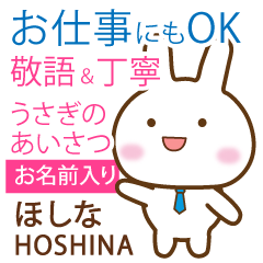 HOSHINA: Rabbit.Polite greetings