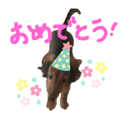KAYO_20190528013232