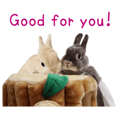 Bunny photo sticker 1 (English ver.)