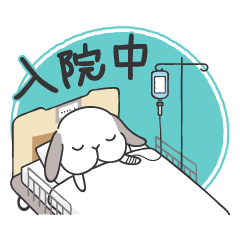Lop Bunny, SHARIKICHI -Hospitalization-