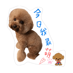 李萌Q