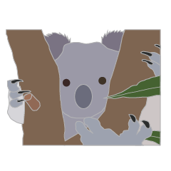 Q koala daily