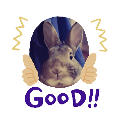 sally_20190601085731