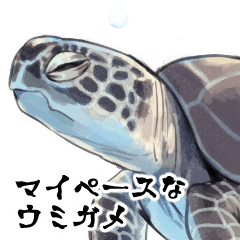 Sea turtle sticker.