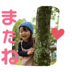 kiho&soken