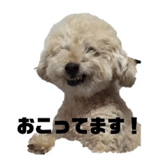 rii_20190531210419
