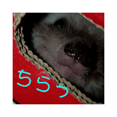 Rain_20190601193056