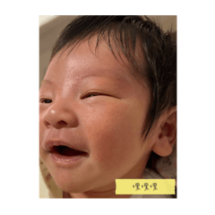 寶貝澤澤
