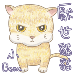 Disgusting cat Benu
