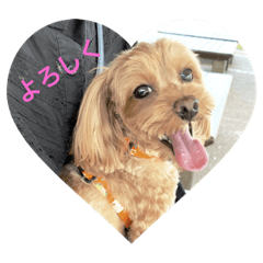 愛犬クッキーのスタンプです