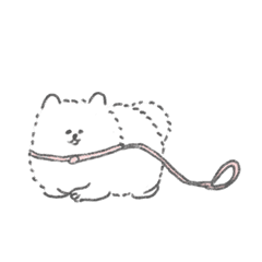 Full power Pomeranian