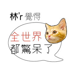 林 姓氏負能量姓名貼1