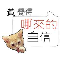 黃 姓氏負能量姓名貼