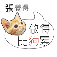 張 姓氏負能量姓名貼