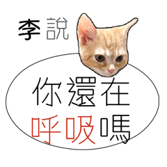李 姓氏負能量姓名貼
