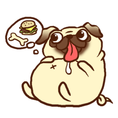 Pon the Pug