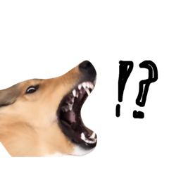 kazuki_20190602044110