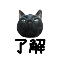 kazuki_20190602044301