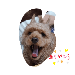 HANA_20190602110947