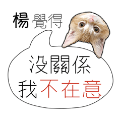 姓名貼楊