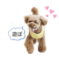 maruchanmaru