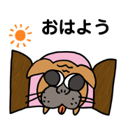 PugTaro's life