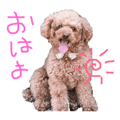 Kao_201906011530