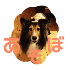 imo_20190602162016