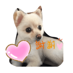hinata_201905302034322