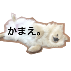 omochi_3