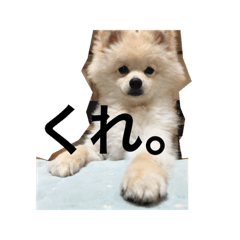 omochi_2