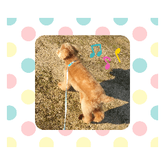 mimi_20190603122528