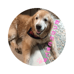 saori_20190603124604