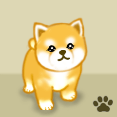 Puppy of Akita dog 5