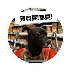 是歐練不是黑輪