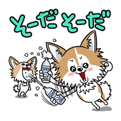 チワワ姉妹のスタンプです Line スタンプ Line Store チワワ姉妹のスタンプです Line スタンプ Line Store