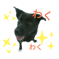 じんたろの日常